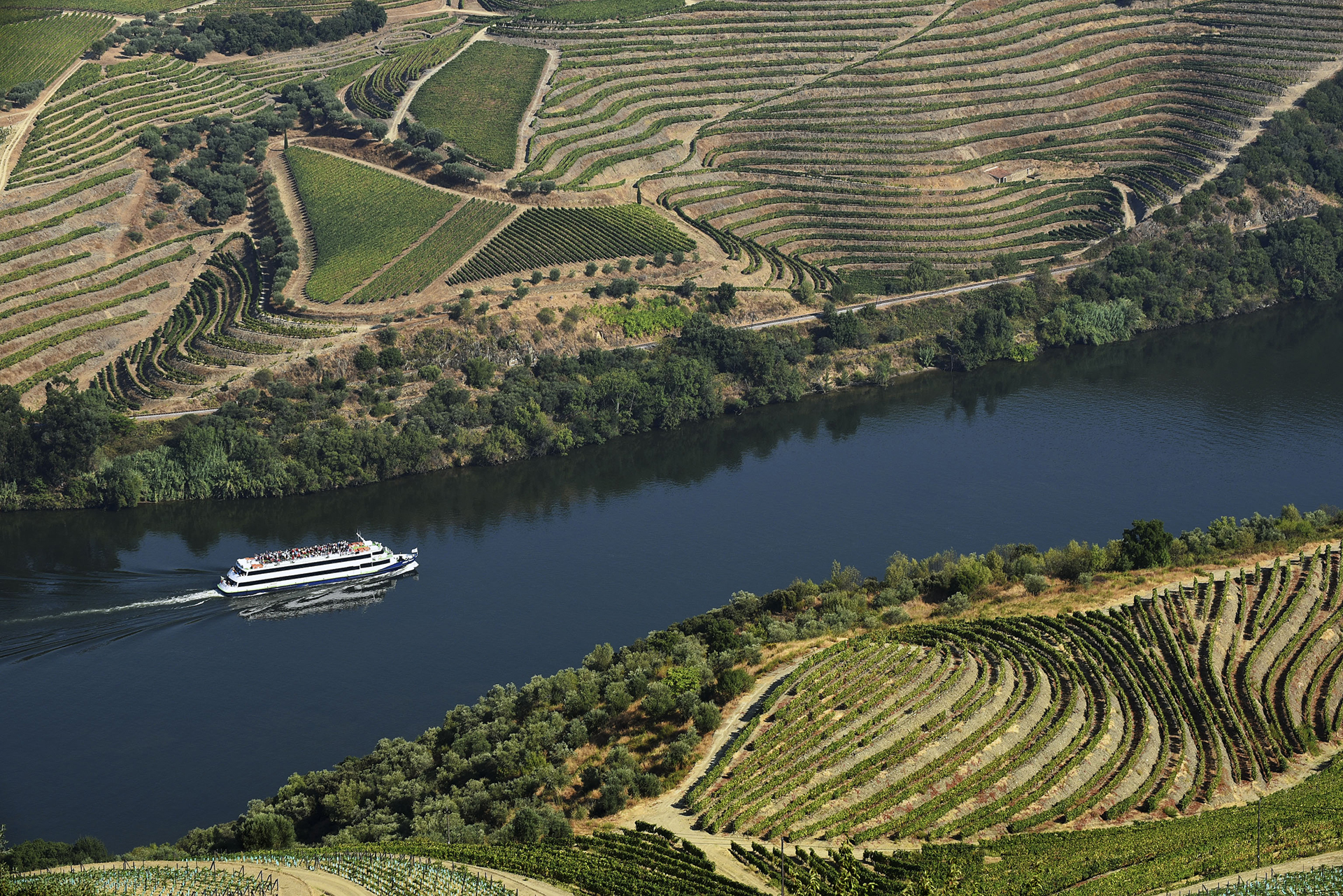 trajeto do rio douro