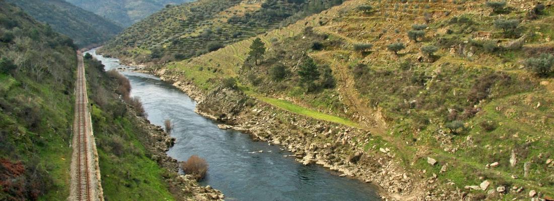 A regi&atilde;o do Tua