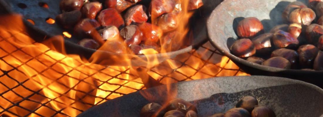 A Hist&oacute;ria do dia de S&atilde;o Martinho