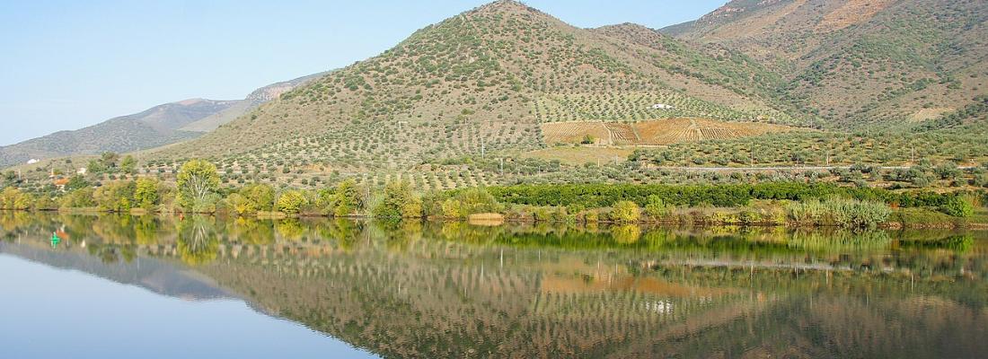 Parque Natural do Douro Internacional