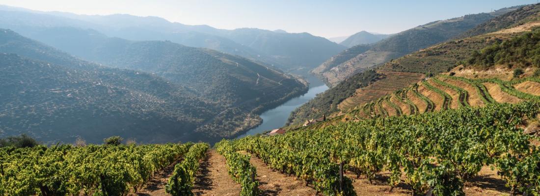 Coisas sobre o Douro que ningu&eacute;m lhe diz