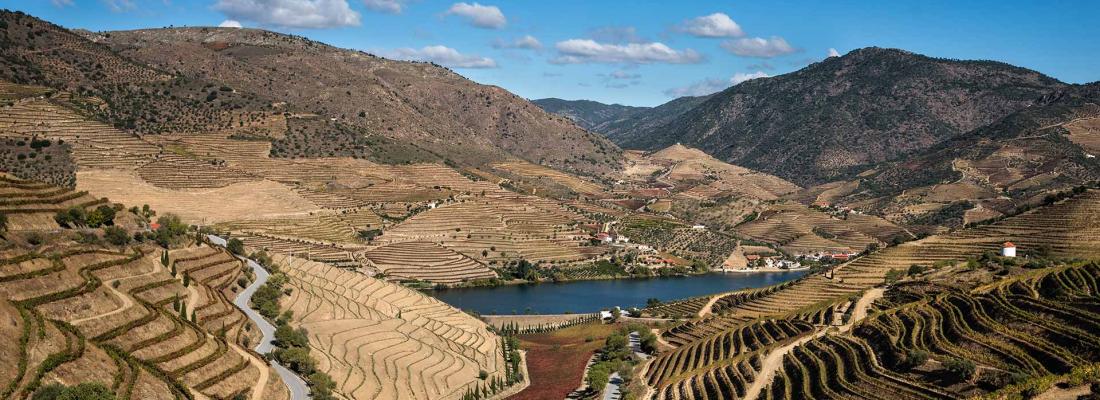 4 Alojamentos de Turismo Rural no Douro para pessoas ocupadas