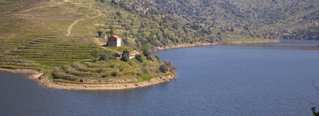Estrada Portuguesa em destaque no 'Good Morning America'