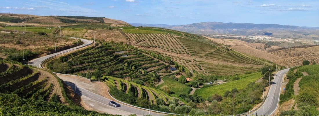 3 Caminhos no Douro a descobrir