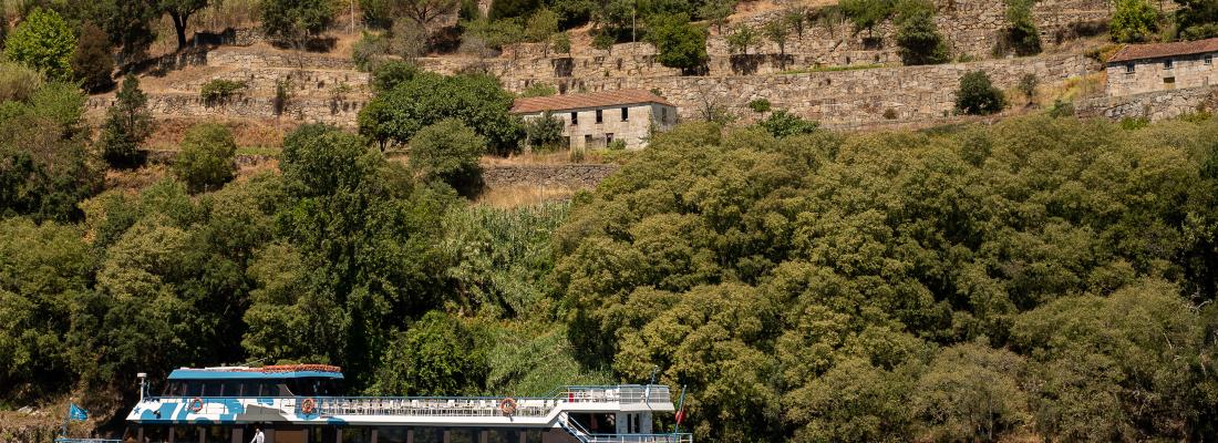 Subida do Douro de Barco: Quanto Custa?
