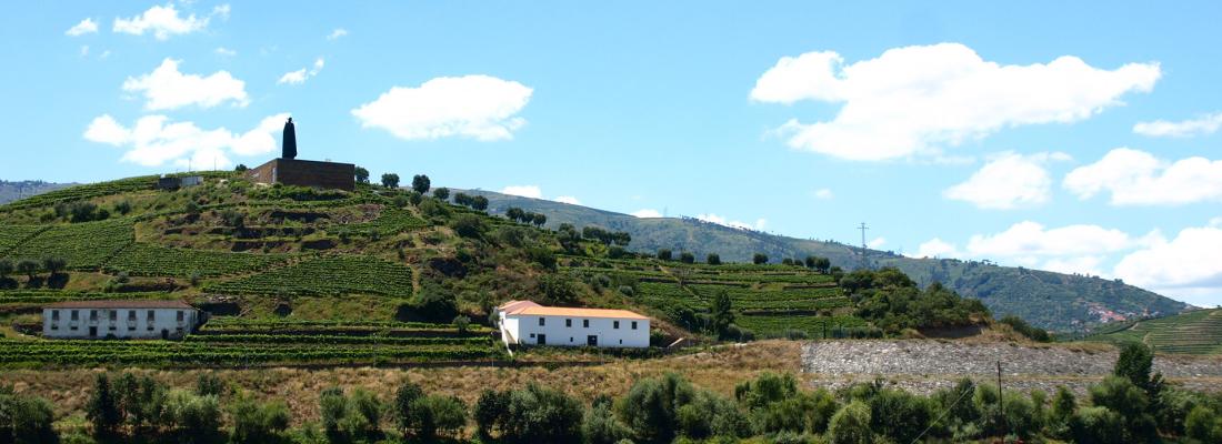 Os 5 Cruzeiros no Douro para 2025 que vai perder se n&atilde;o reservar j&aacute;! Prepare-se para uma Viagem Inesquec&iacute;vel!