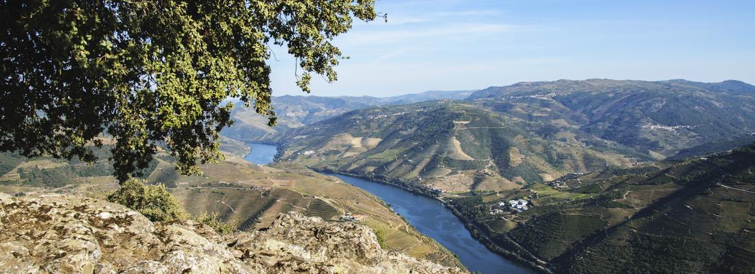 Douro Sublimado: Um Dia Memor&aacute;vel Entre Vinhos, Paisagens e Tradi&ccedil;&atilde;o