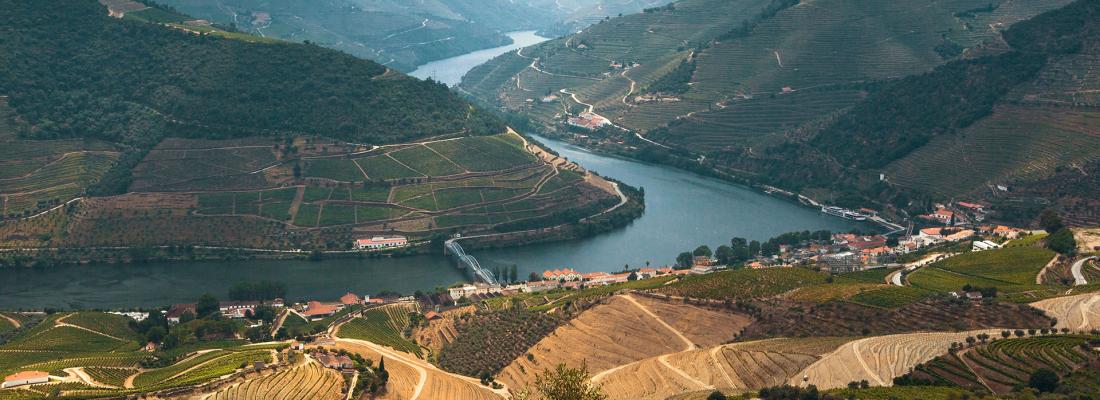 Um guia para uma viagem panor&acirc;mica (e sem stress) pelo Douro, ao longo da Estrada Nacional 222 (N222)