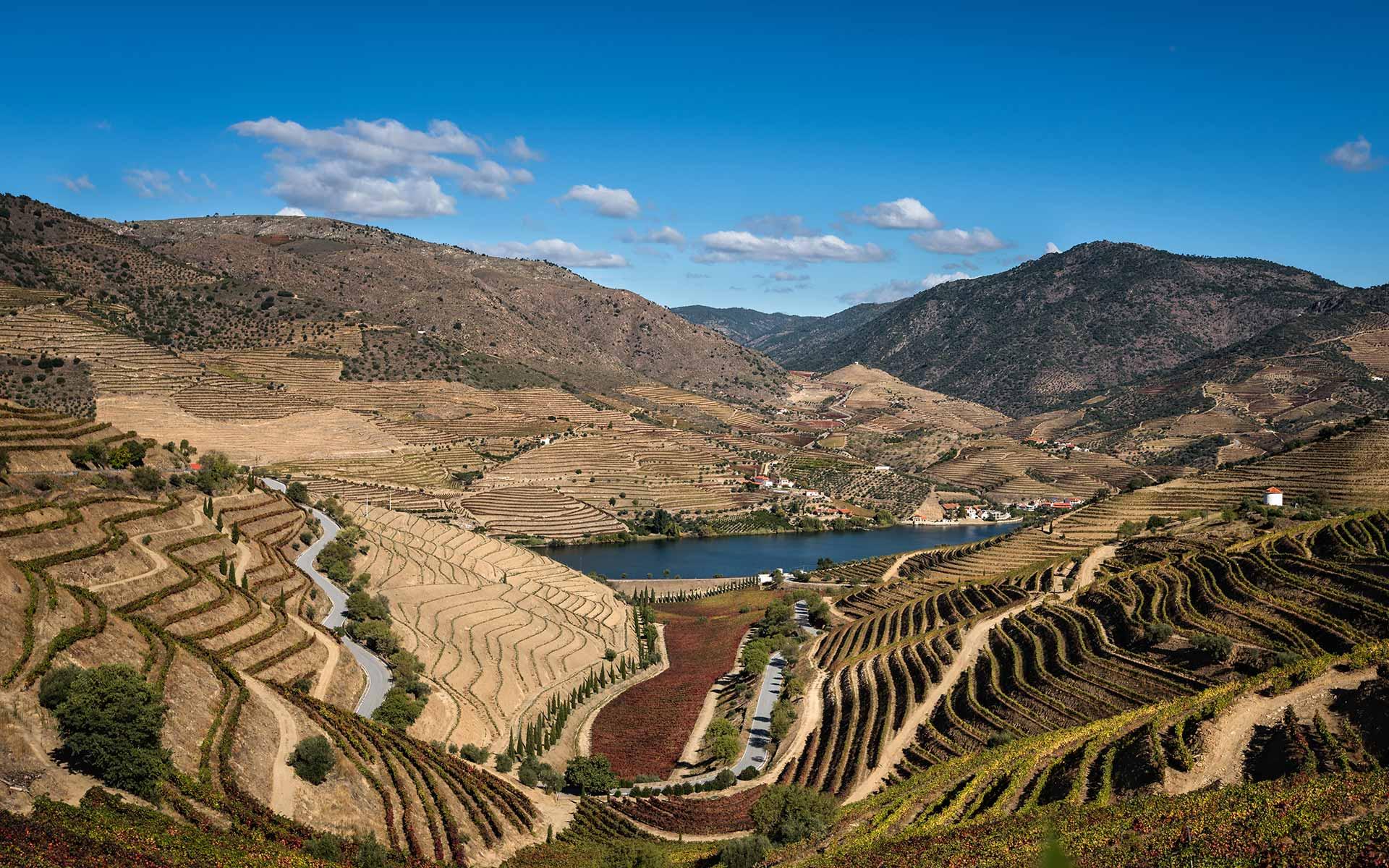 4 Alojamentos de Turismo Rural no Douro para pessoas ocupadas