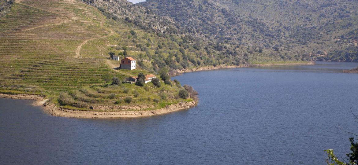 Estrada Portuguesa em destaque no 'Good Morning America'