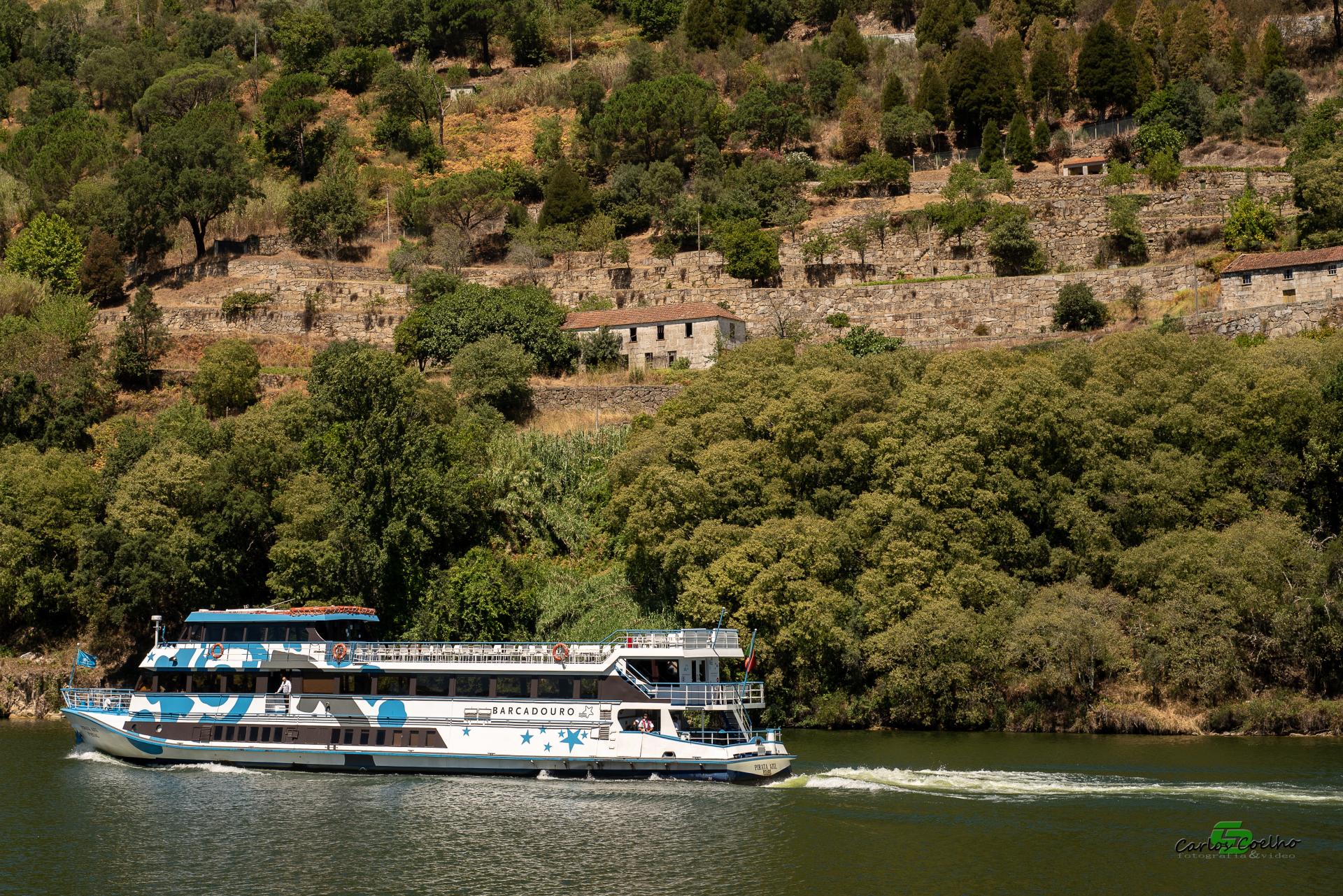 Subida do Douro de Barco: Quanto Custa?