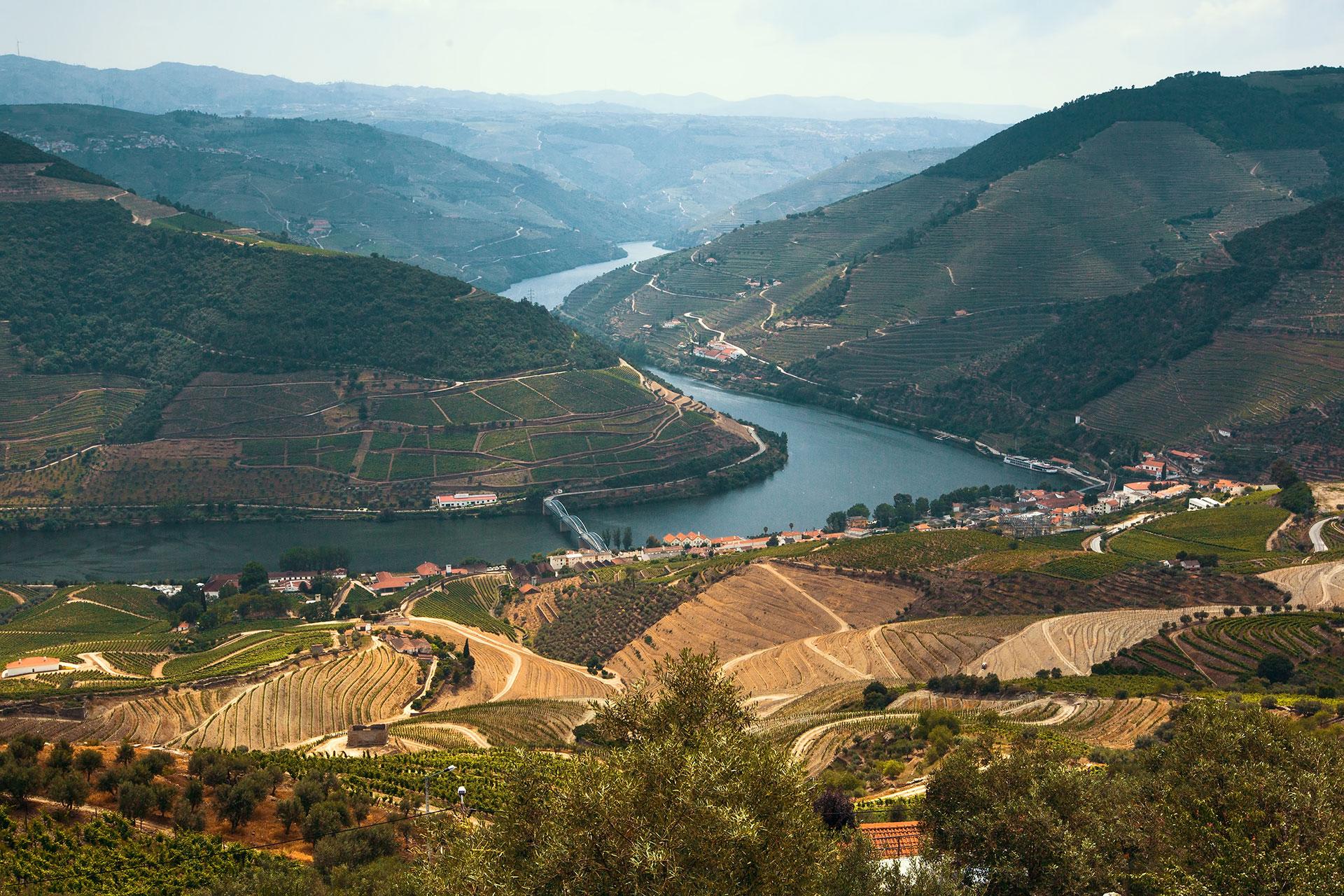 Um guia para uma viagem panor&acirc;mica (e sem stress) pelo Douro, ao longo da Estrada Nacional 222 (N222)