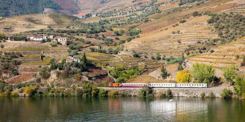 Cruzeiro R&eacute;gua - Pinh&atilde;o