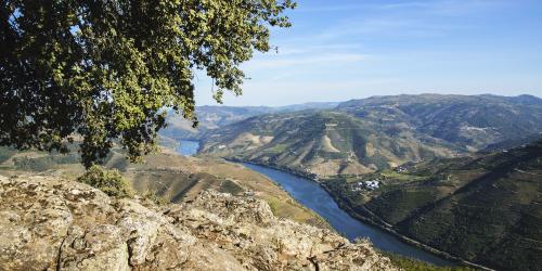Douro Sublimado