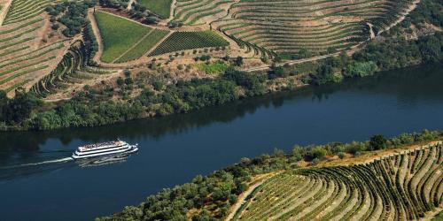 Subida do Douro de Barco e Descida em Autocarro: Porto - R&eacute;gua