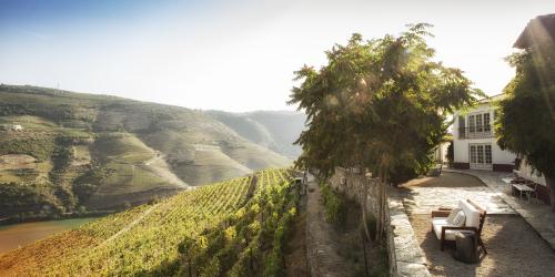 Vinhos e Tapas na Quinta Nova