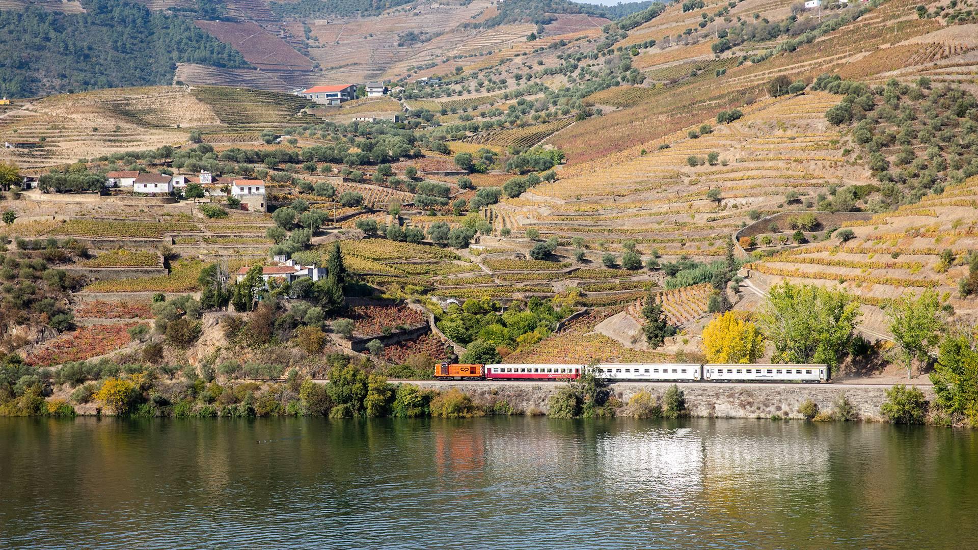Cruzeiro R&eacute;gua - Pinh&atilde;o - 1