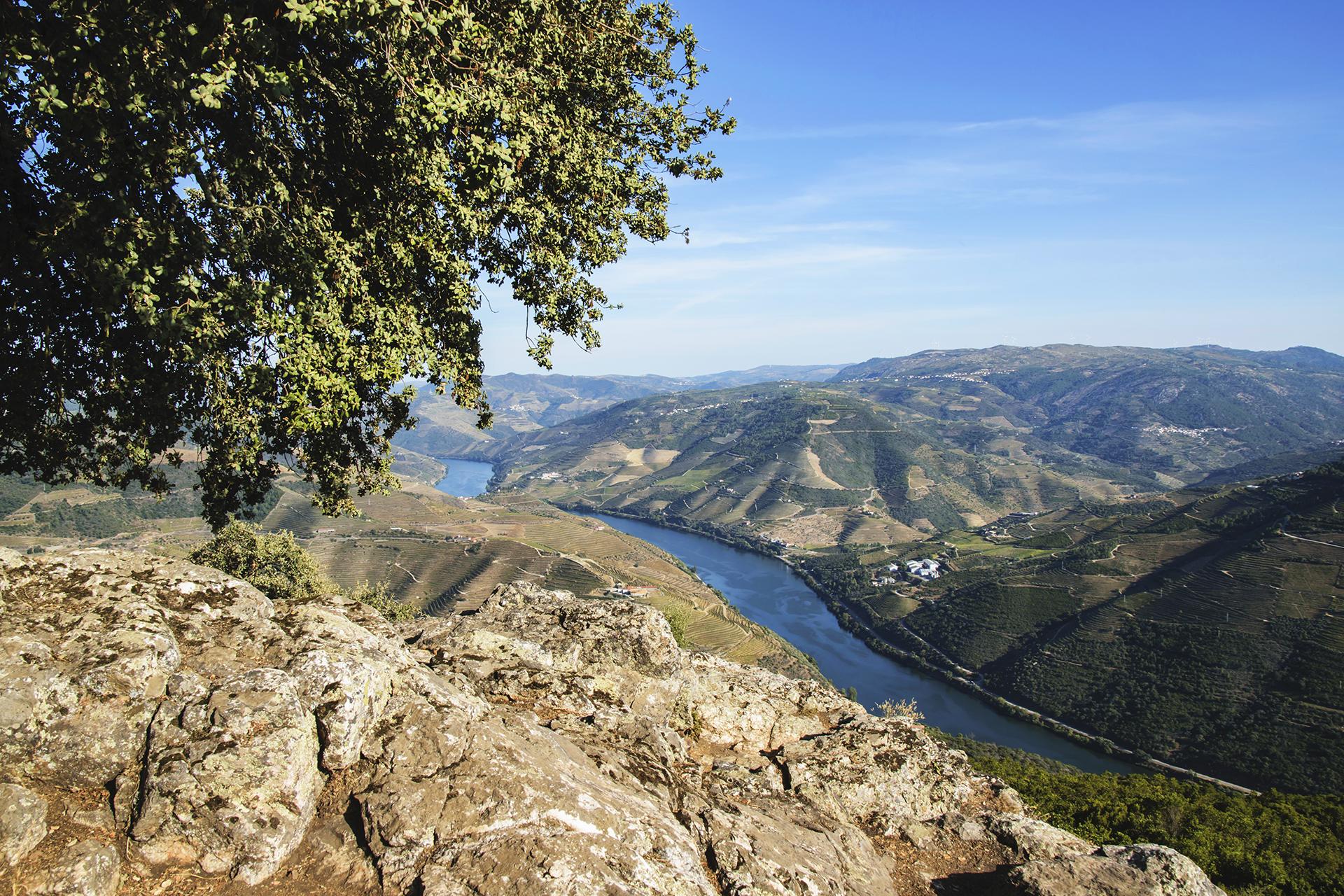 Douro Sublimado - 1