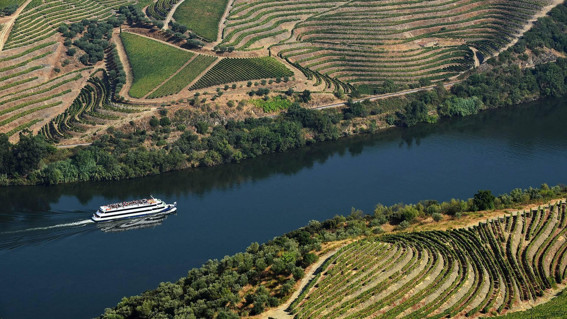 Subida do Douro de Barco e Descida em Autocarro: Porto - R&eacute;gua - 1