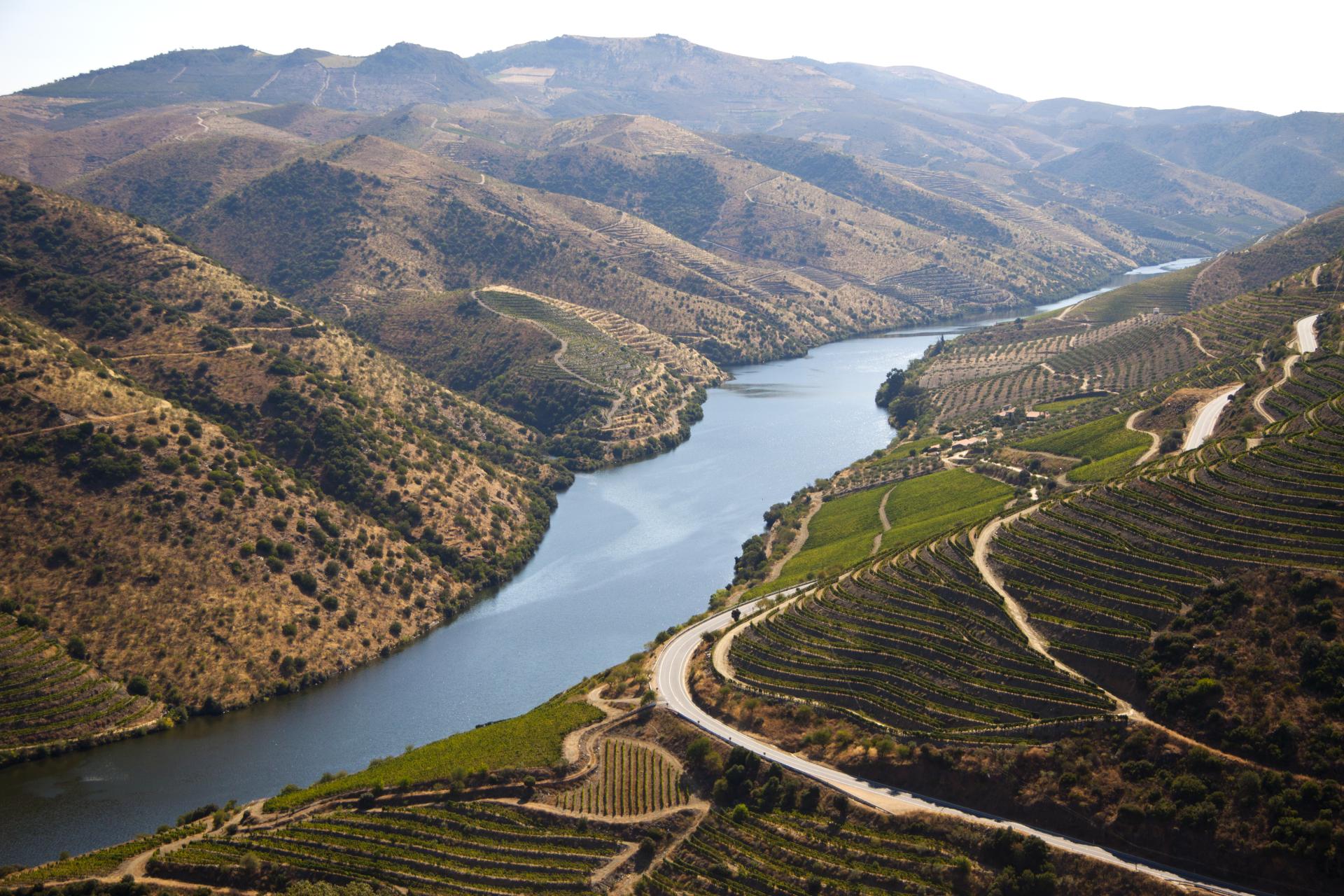 Douro Total - 3