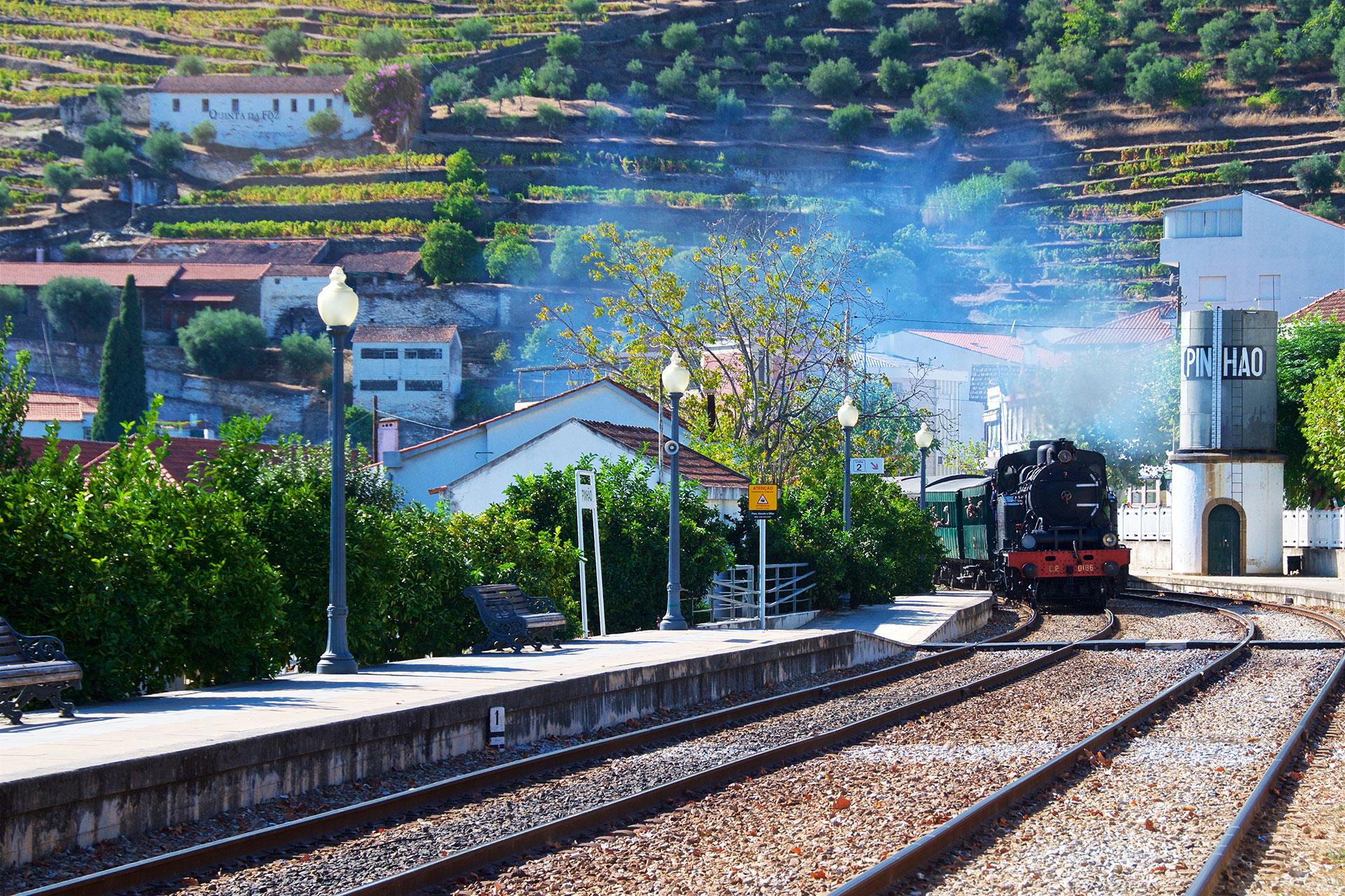 Cruzeiro R&eacute;gua - Pinh&atilde;o - 5