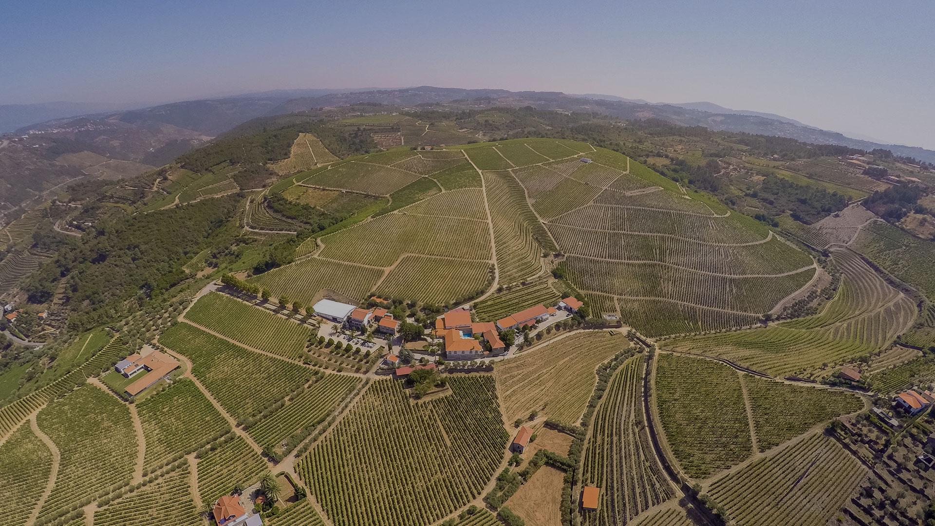 Cruzeiro Porto - R&eacute;gua - Porto Subida com Visita a Quinta e Descida em Comboio - 5