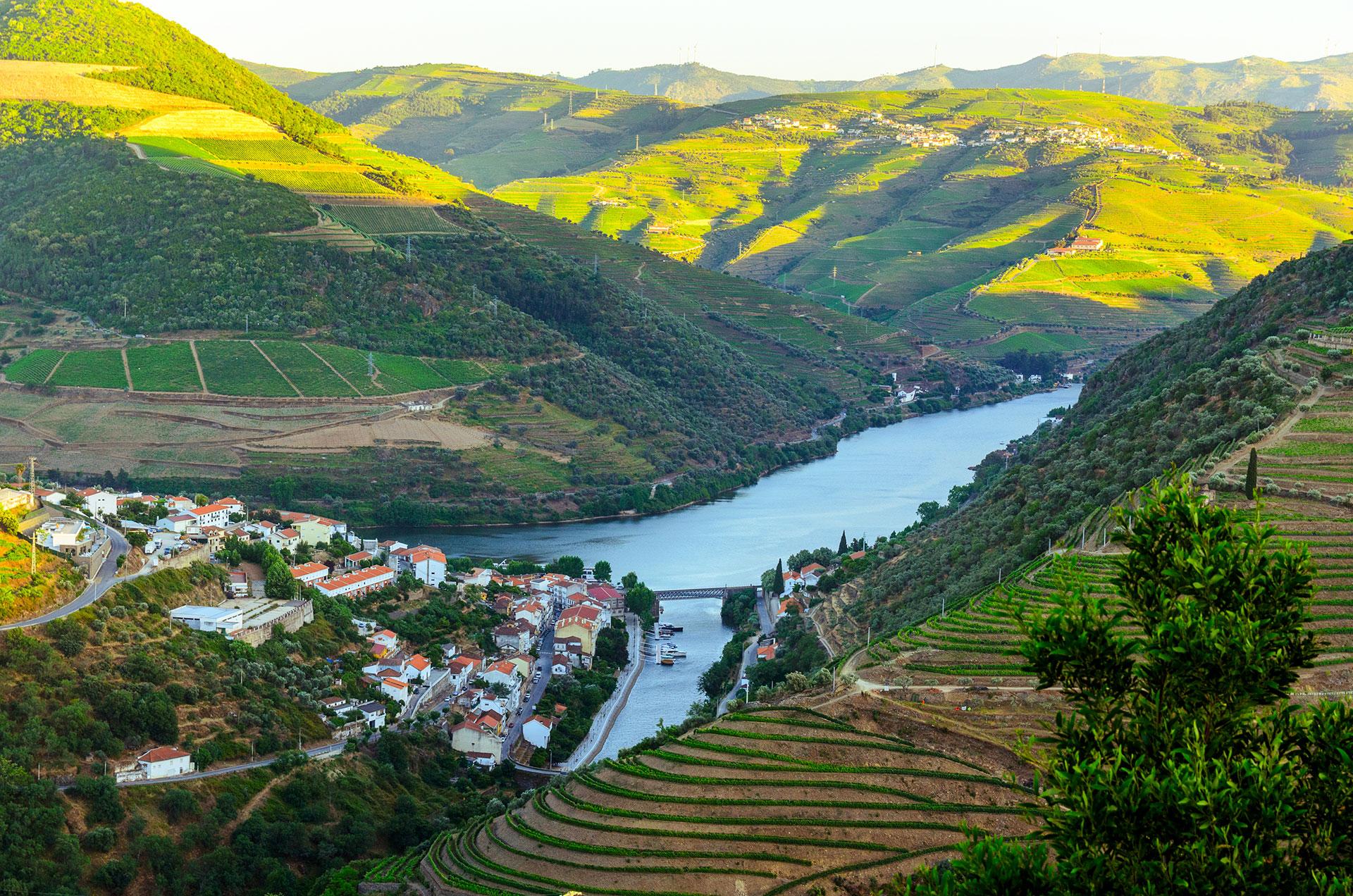 Tour Douro 360 - 3