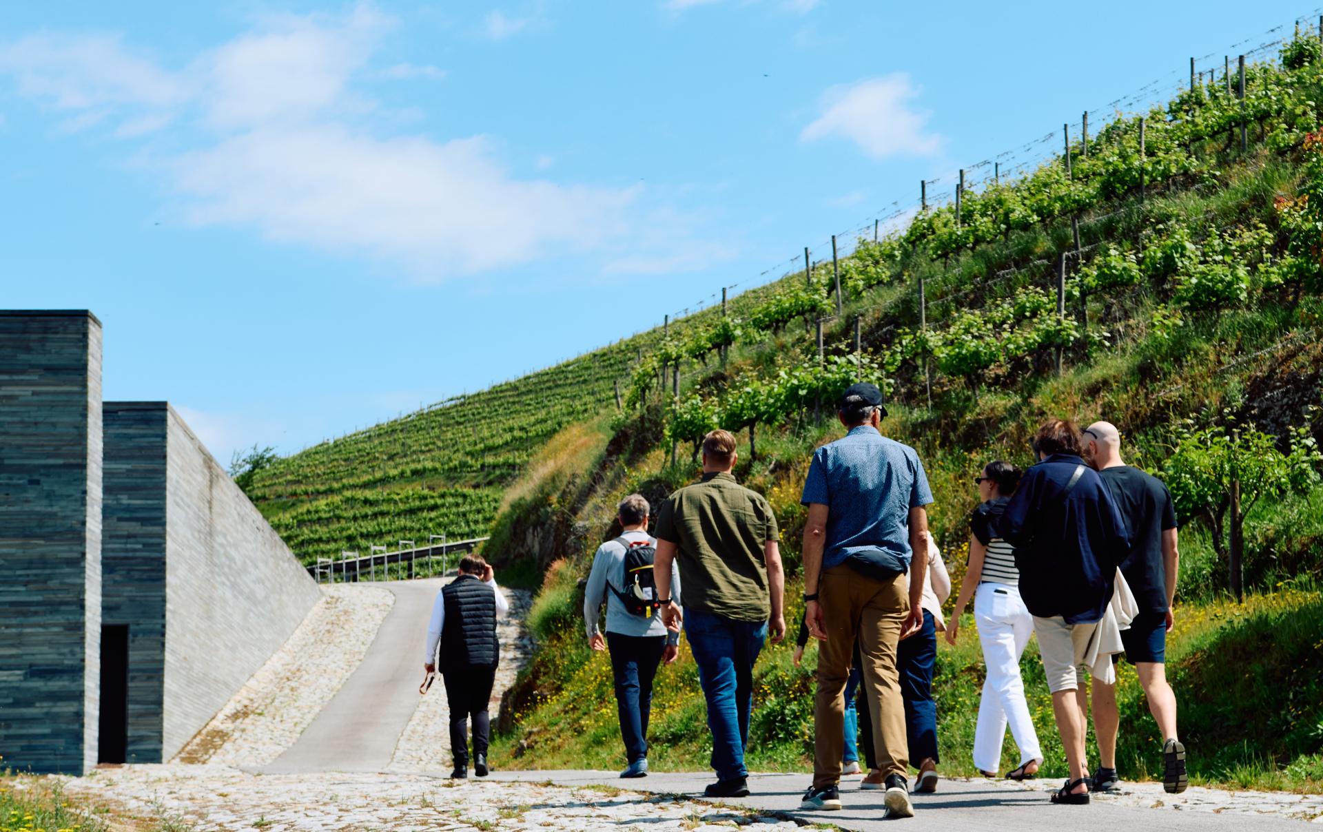 Visita & Prova Quinta do Vallado - 3