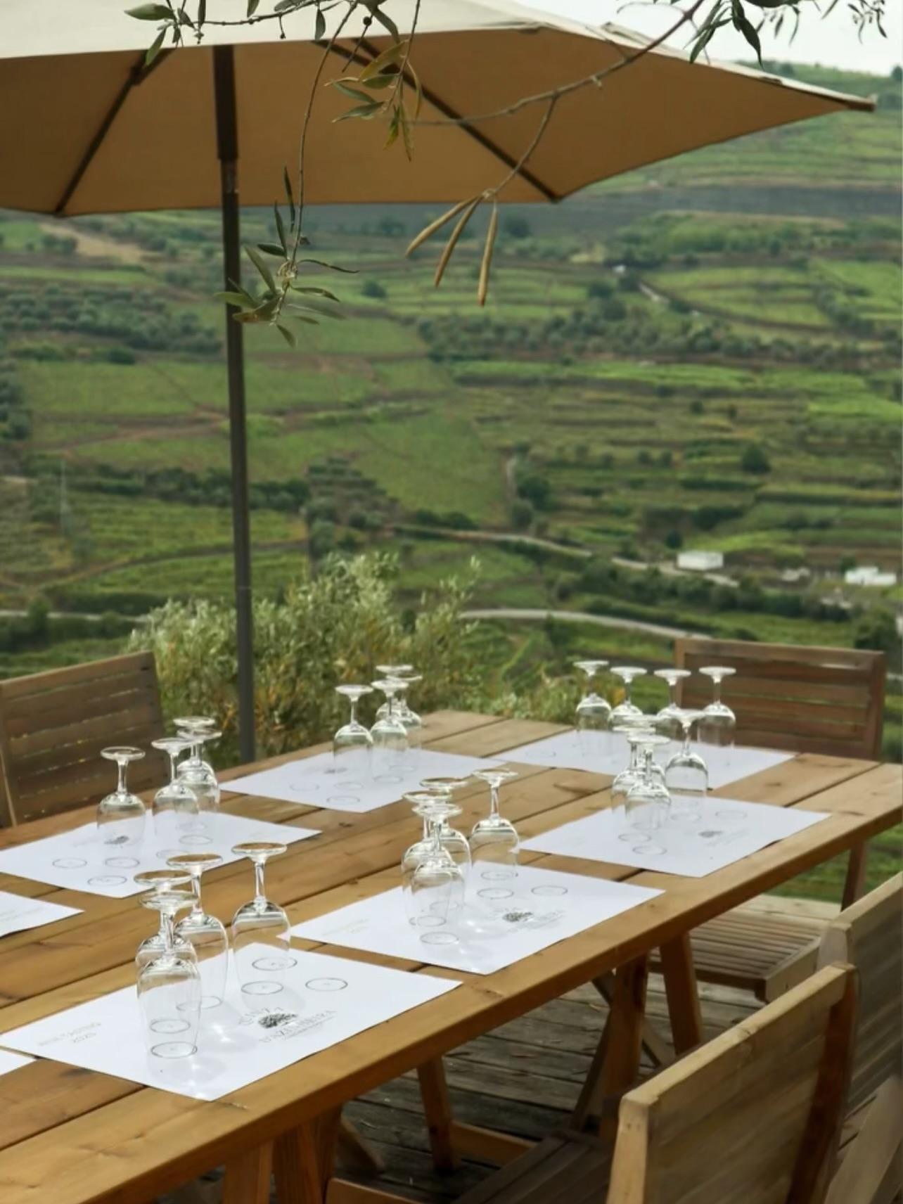 Douro Wine Escape - 2