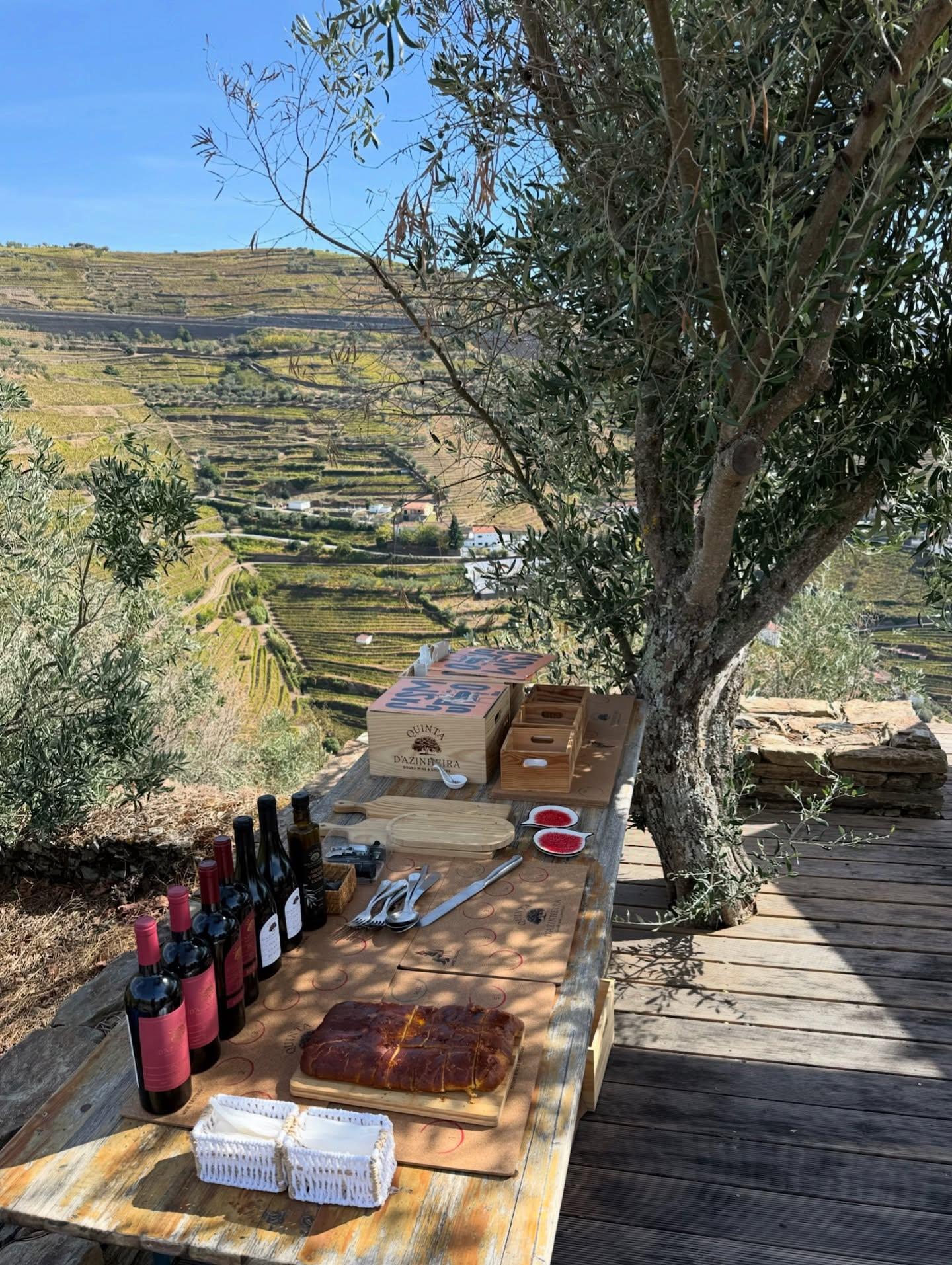 Douro Wine Escape - 4